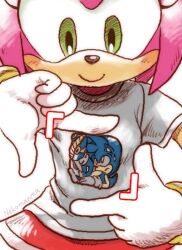amy rose from sega