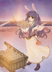 acolyte (ragnarok online) from ragnarok online