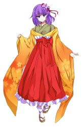 hieda no akyuu from touhou