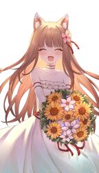 holo from spice and wolf