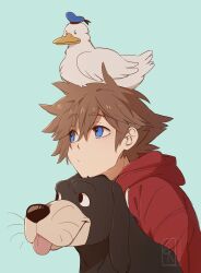 donald duck from kingdom hearts