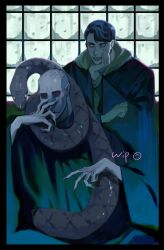 tom marvolo riddle from harry potter (series)