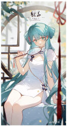 hatsune miku from vocaloid