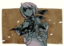 beruka (fire emblem) from fire emblem