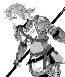 link from the legend of zelda