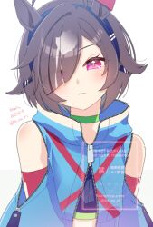 umamusume fan art