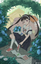 hachikuji mayoi from monogatari (series)