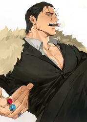 crocodile (one piece) from one piece