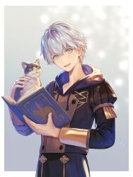 ashe ubert from fire emblem