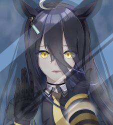 manhattan cafe (creeping black) (umamusume) from umamusume