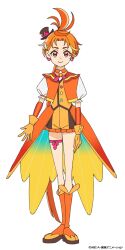 cure wing from hirogaru sky! precure