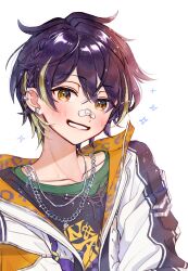 sengoku shinobu from ensemble stars!