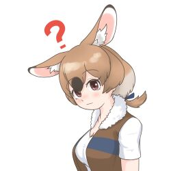 gambian rat (kemono friends) from kemono friends