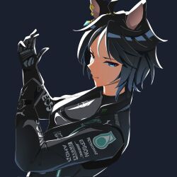 fuji kiseki (umamusume) from amd