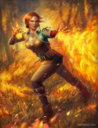 triss merigold from the witcher (series)