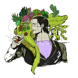 crocodile (one piece) from one piece