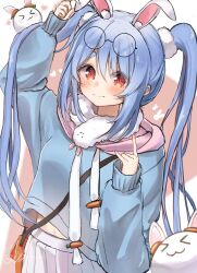 don-chan (usada pekora) from hololive