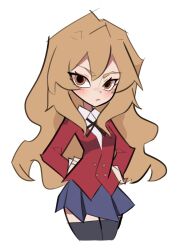 aisaka taiga from toradora!