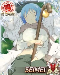 seimei (senran kagura) from senran kagura