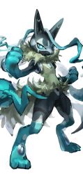 lucario from pokemon