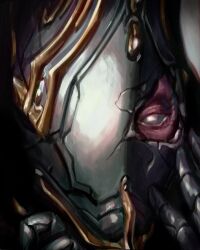 excalibur (warframe) from warframe