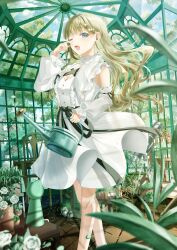 cattleya regina games fan art