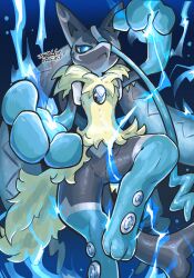 lucario from pokemon