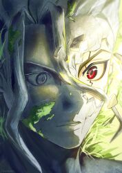 ishigami senkuu from dr. stone