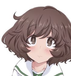 akiyama yukari from girls und panzer by hazuki haru