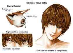 yagami light from death note