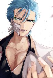 grimmjow jaegerjaquez from bleach