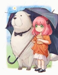 anya (spy x family) from spy x family