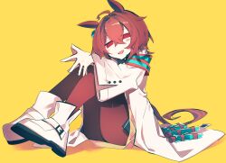 agnes tachyon (umamusume) from umamusume
