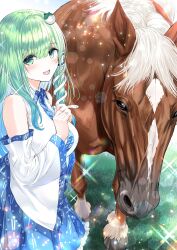 kochiya sanae from touhou