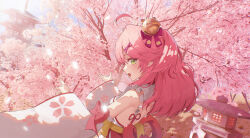 sakura miko from hololive