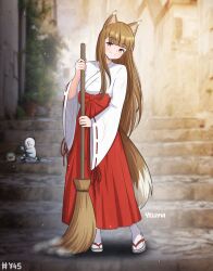 holo from spice and wolf