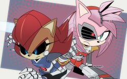 amy rose from sonic (series)