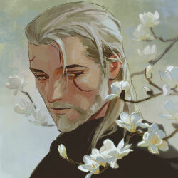 geralt of rivia from the witcher (series)