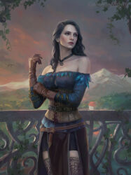 the witcher (series) fan art