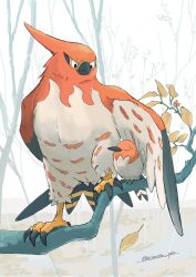 fletchling from pokemon by momota pix