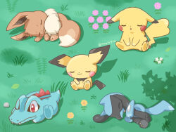 eevee from pokemon by kana (maple926)