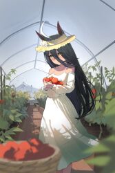 manhattan cafe (umamusume) from umamusume