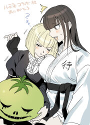 magadori kyoshika from the hundred line -last defense academy- by mihen
