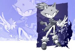 blaze the cat from sonic (series)