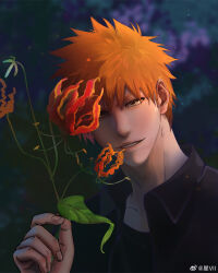 kurosaki ichigo from bleach