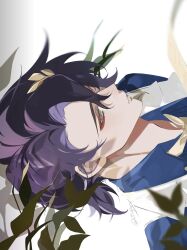 dr. ratio (honkai: star rail) from honkai: star rail