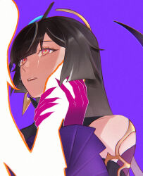 honkai (series) fan art