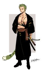 roronoa zoro from one piece