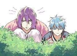 kuroko tetsuya from kuroko no basuke