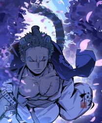 roronoa zoro from one piece